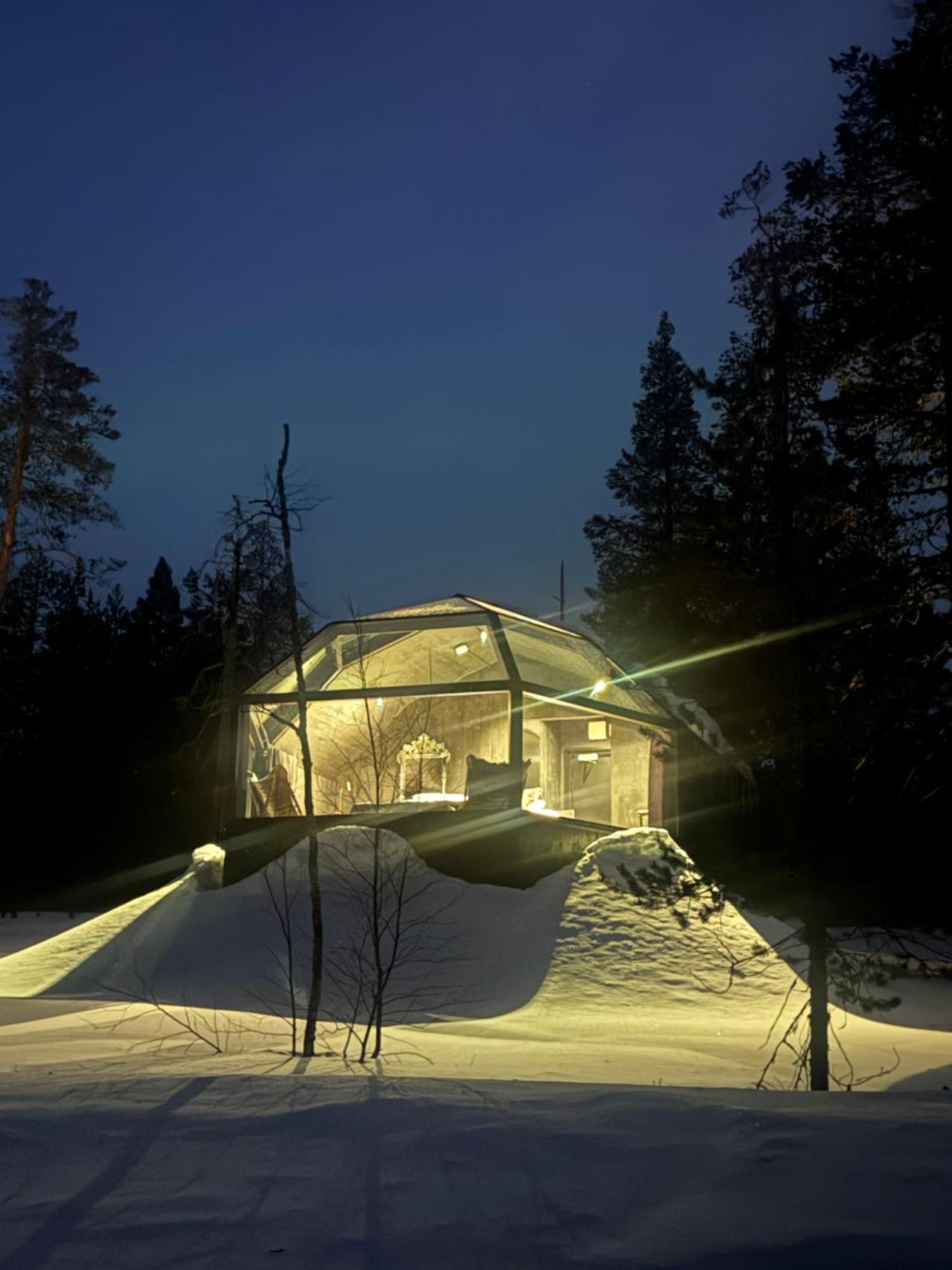 Aurora Queen Igloos Station touristique Saariselkä