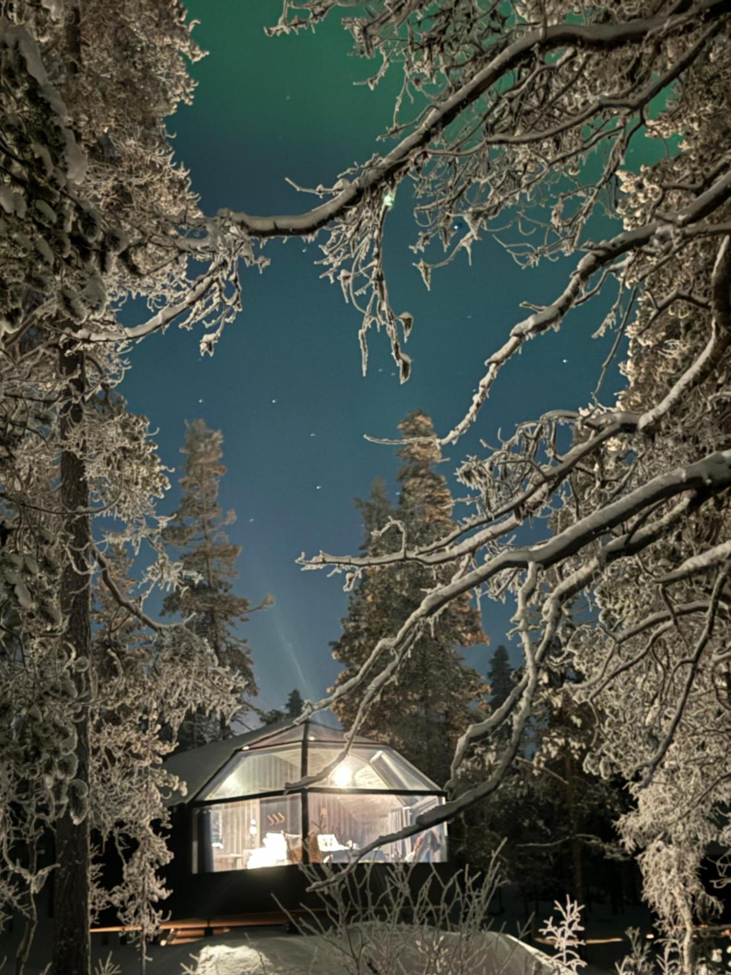 Aurora Queen Igloos 4* Saariselkä