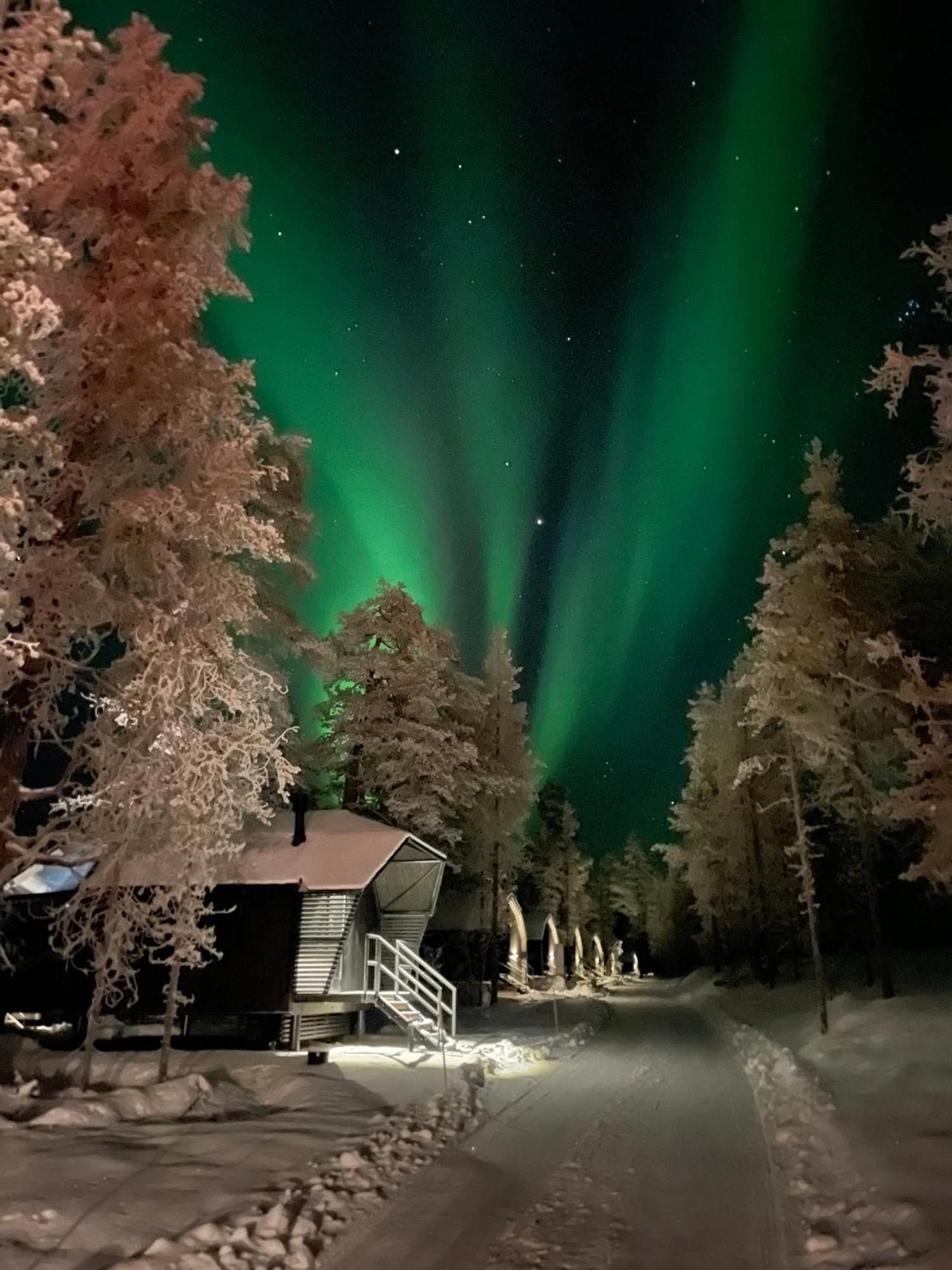Aurora Queen Igloos Lomakeskus Saariselkä