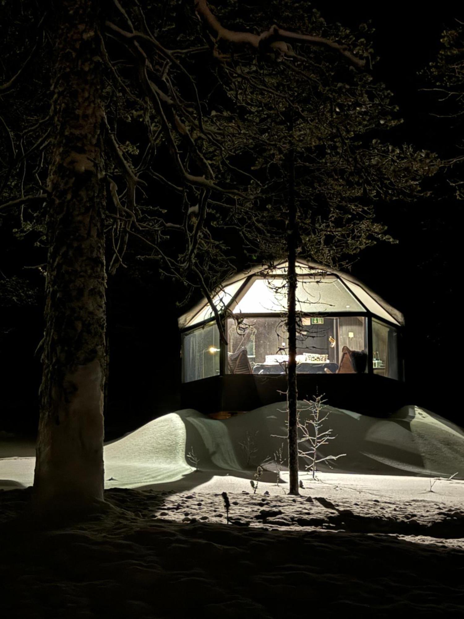 Aurora Queen Igloos Saariselkä