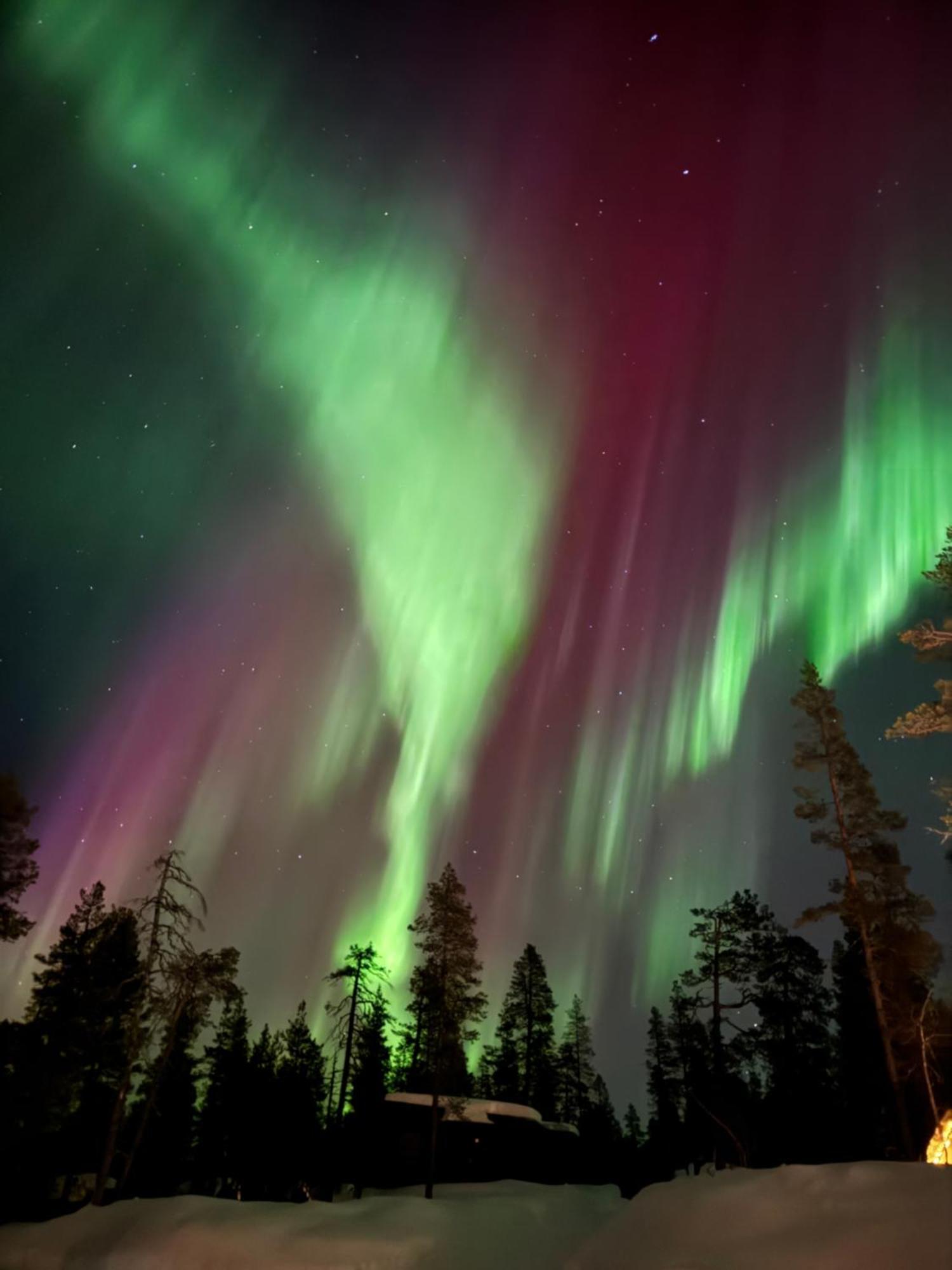 Aurora Queen Igloos Lomakeskus Saariselkä