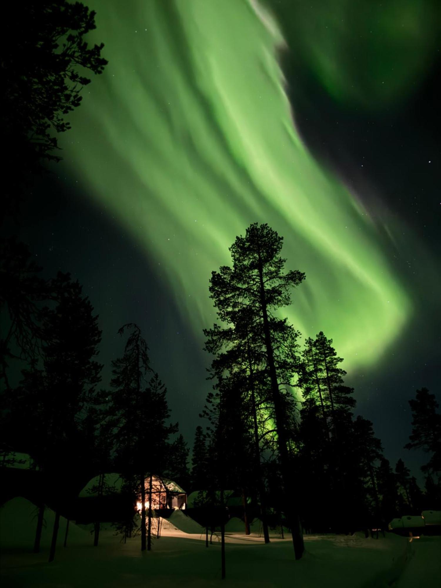 Aurora Queen Igloos 4* Saariselkä