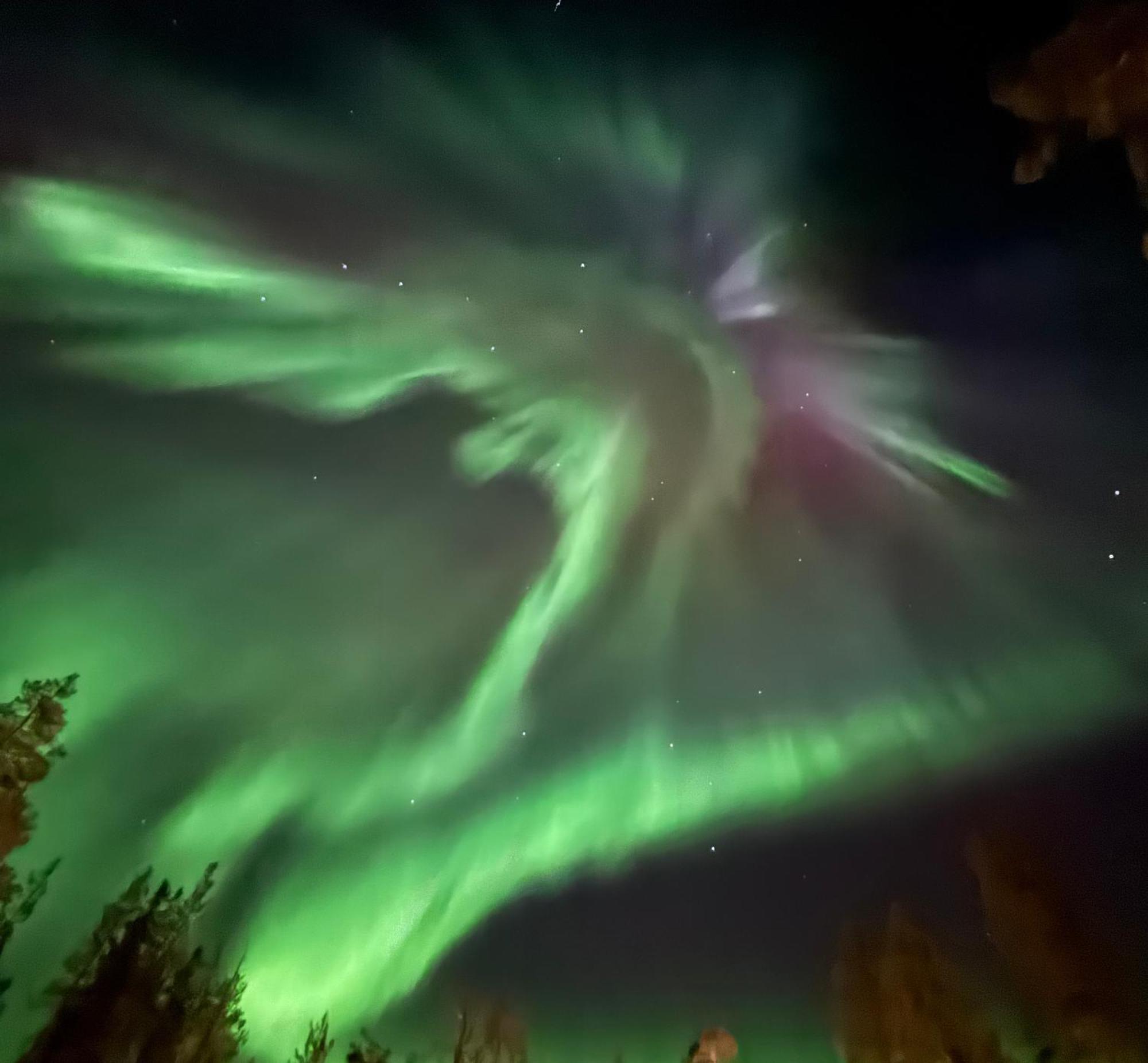 Aurora Queen Igloos Station touristique
