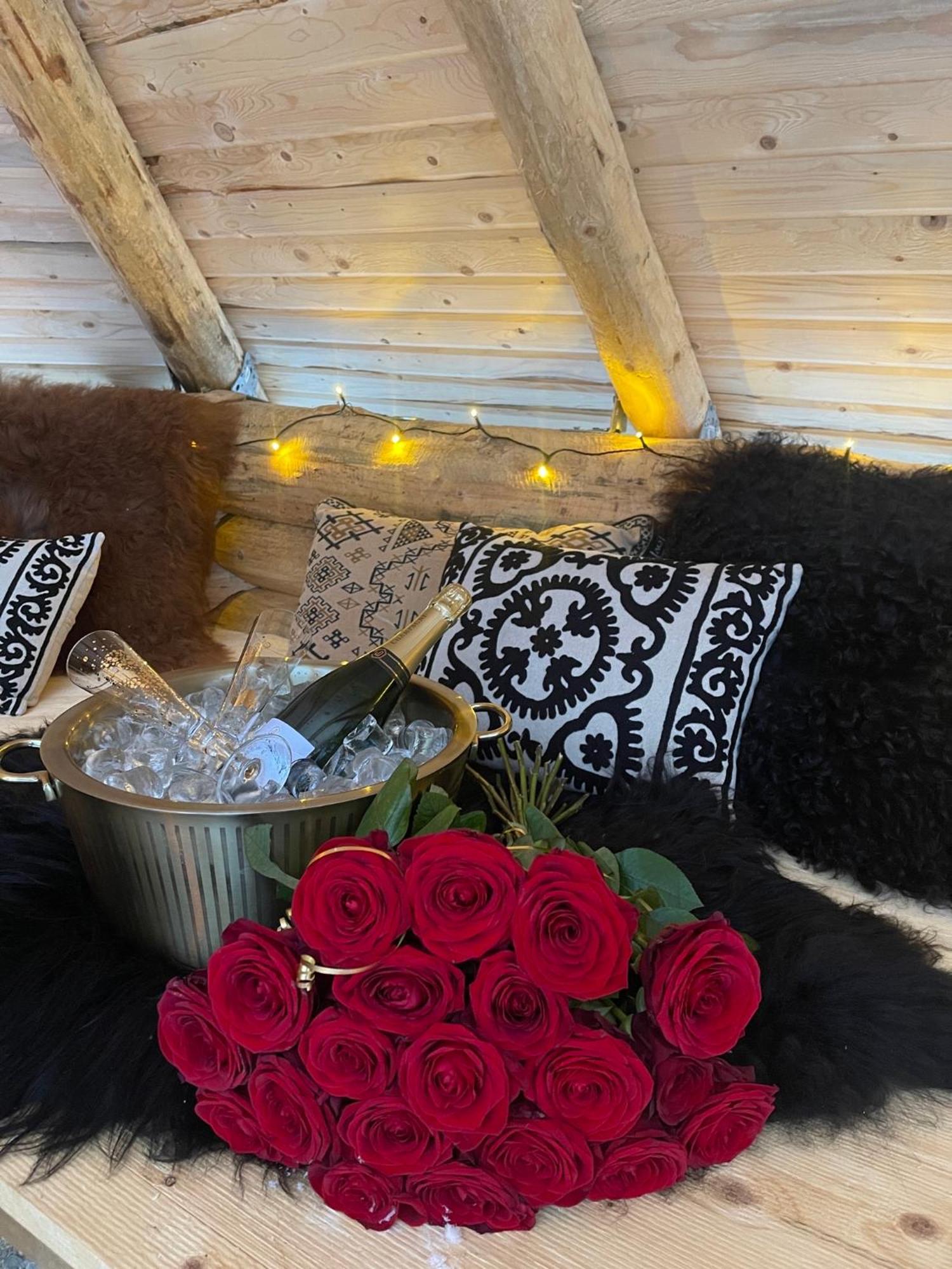 Aurora Queen Igloos Lomakeskus Saariselkä