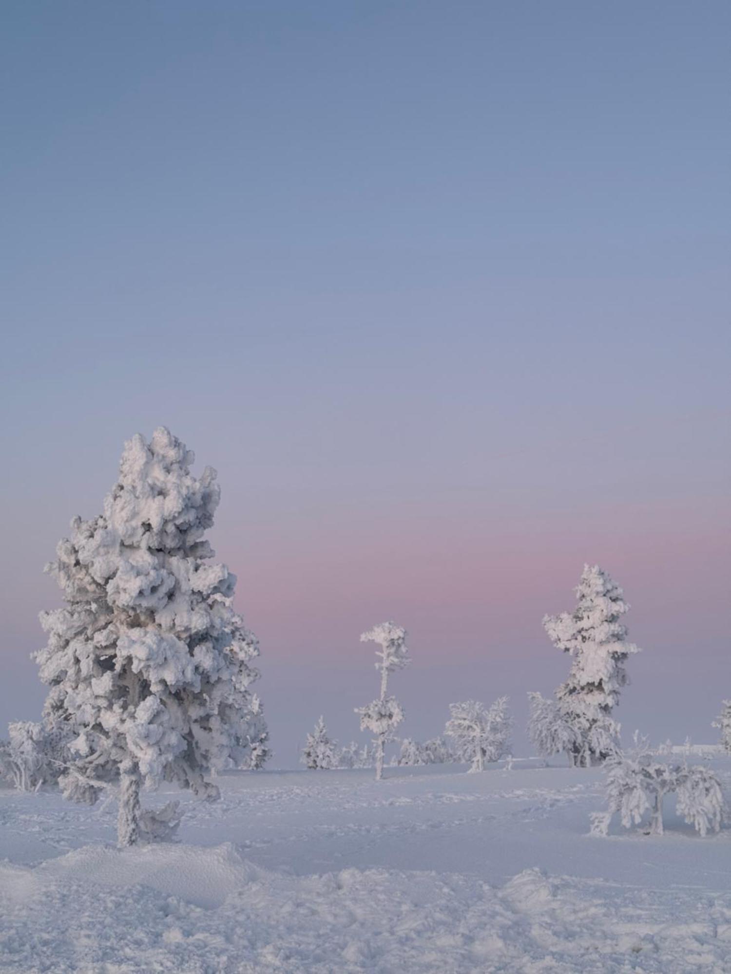 Lomakeskus Aurora Queen Igloos